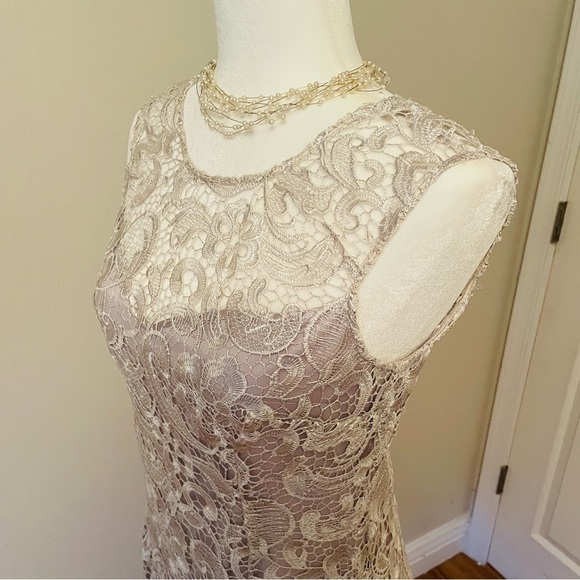 Francesca’s Lace Overlay Mini Dress – Silver/White, Elegant, Size Medium - Picture 9 of 13